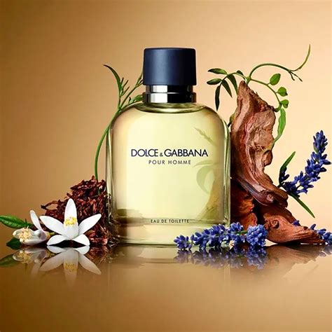 dolce and gabbana articulo